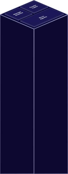 Level 4